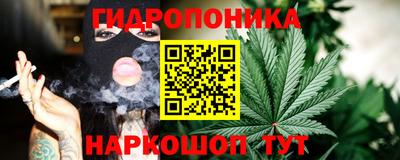 сатива Гудермес