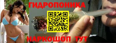 прущие грибы Вязьма