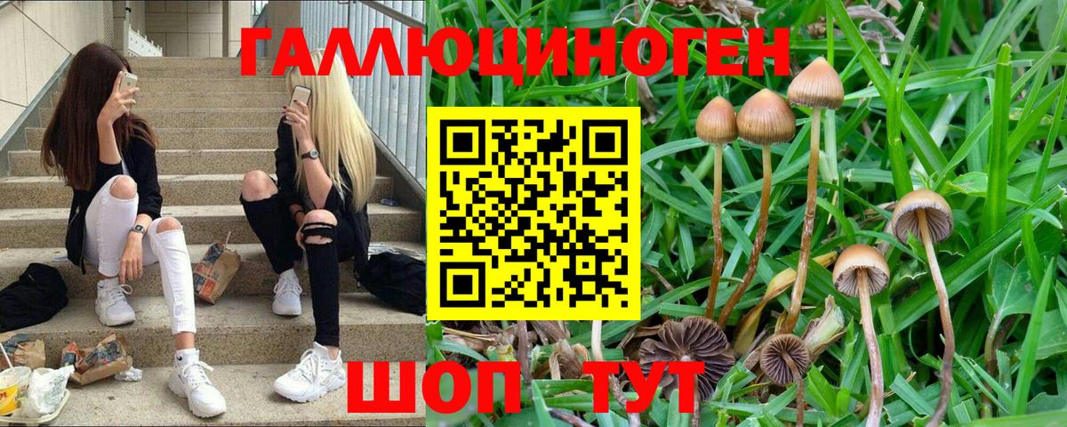 Галлюциногенные грибы мицелий  Вход с VPN  Архангельск 